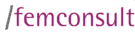/femconsult logo